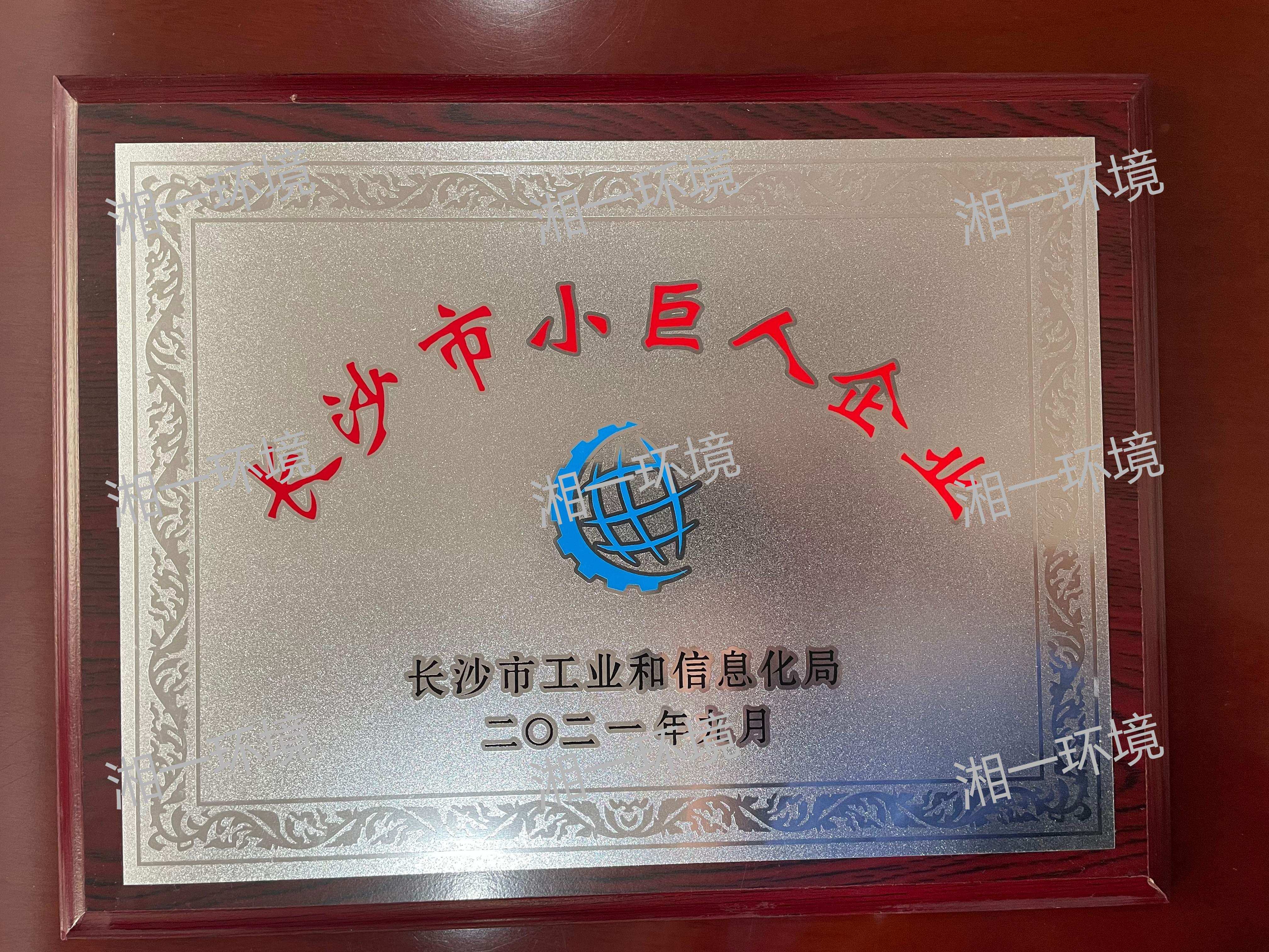 长沙市小巨人企业
